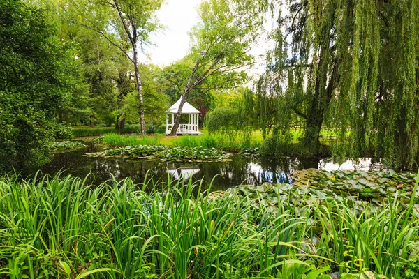 Groene Gazon Stadspark Met Moeras Bij Daglicht — Stockfoto