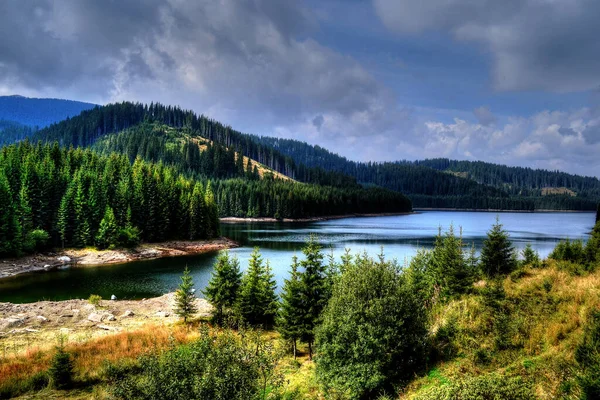 Хранилище Воды Между Горами Озеро Видра Румыния — стоковое фото