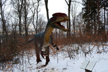 RASNOV, ROMANIA - 30 ARALIK 2016: Rasnov kalesinin yanındaki dinozor parkında Dilophosaurus.