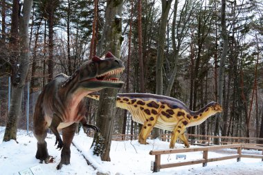 RASNOV, ROMANIA - 30 Aralık 2016: Rasnov kalesinin yanındaki dino parkında Allosaurus ve iguanodon.