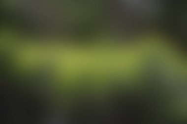 Soyut bulanık arkaplan, yeşilin tonlarıyla gradyan.