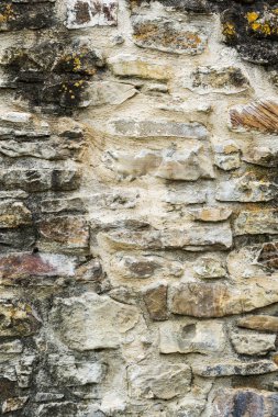 Kalıplaşmış bir duvarın arka planı..