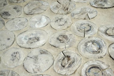 Ağaç gövdesi tuz madeninde bir zemine yapılmış.