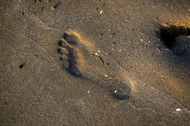 Sabah kumsalda ayak izi.