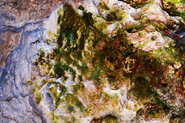 Mağaranın içindeki bir duvardaki doku.