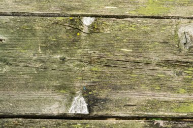Eski ahşap doku. Kereste yüzeyi yeşil renkler, desen, arkaplan.