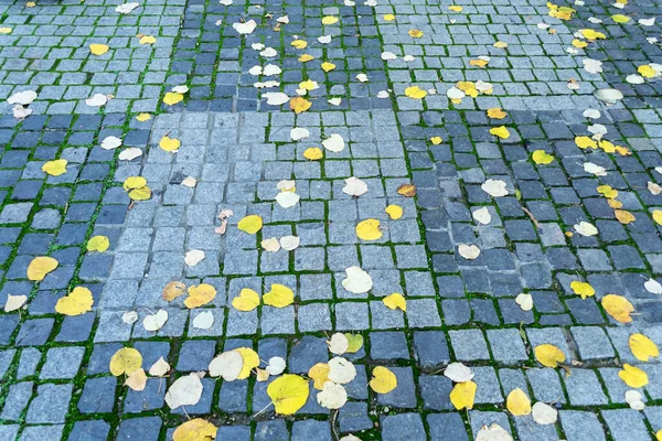 Брусчатка Покрытая Листьями Осенний Сезон — стоковое фото
