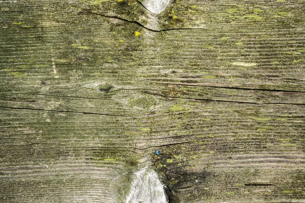 Старая Текстура Дерева Деревянная Поверхность Зеленого Цвета Узор Фон — стоковое фото