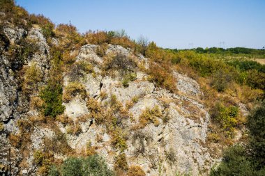 Ekopateka Hotnitsa, nehrin bir şelale yaratmak için yer açtığı yığını tırmanmanıza yardımcı olan ahşap köprüler zinciri. İnanılmaz, eşsiz bir rota, küçük bir cennet. Bulgaristan.