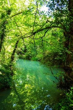 Ekopateka Hotnitsa, nehrin bir şelale yaratmak için yer açtığı yığını tırmanmanıza yardımcı olan ahşap köprüler zinciri. İnanılmaz, eşsiz bir rota, küçük bir cennet..