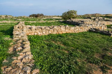 Cape Caliacra, bir ortaçağ kalesi ve bir doğa rezervinden oluşan Bulgar Dobrogea 'sında (Dörtgen) bir doğa anıtı..