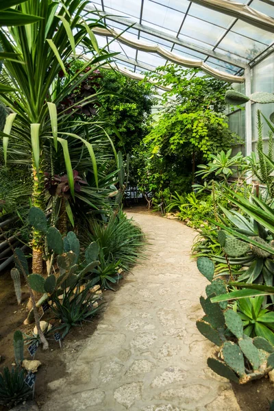 BALCHIK, BULGARIA - 19 Ekim 2019: Balchik Sarayı, botanik bahçesi, Romanya Kraliçesi Maria 'nın Karadeniz kıyısında inşa edilen konutu, Quadrilater' ın Romanya 'ya ait olduğu dönemde.