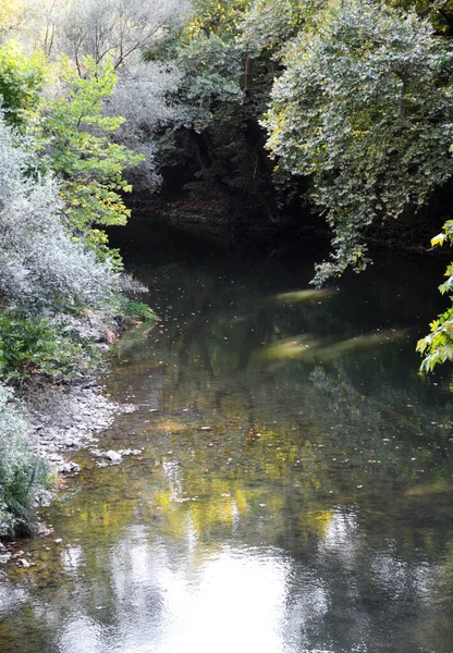 Olimpus Dağı Yakınlarındaki Tempi Vadisindeki Pinios Nehri — Stok fotoğraf