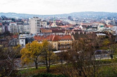 Binaların ve evlerin üzerindeki Buda kalesinin hava görüntüsü. Budapeşte, Macaristan.