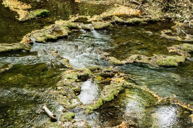 Beu Nehri. Cheile Nerei-Beusnita Ulusal Parkı, Romanya.