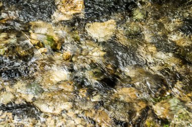 Nehir suyuna yaklaş.