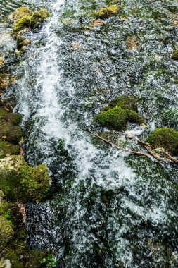 Beu Nehri. Cheile Nerei-Beusnita Ulusal Parkı, Romanya.