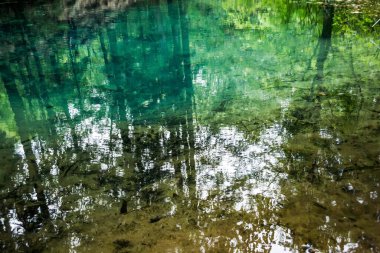 Ochiul Beiului zümrüt gölü, su altyapısı algler, balıklar ve taşlar. Şili Nerei-Beusnita Ulusal Parkı, Banat, Romanya.