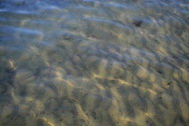 Kum tepecikleri, deniz altında güneş ışığıyla oluşan dalgaların oluşturduğu kumullar. Karadeniz, Romanya.