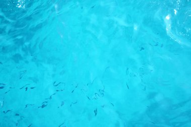 Balık kemiği iyon denizinde ekmek yiyor. Arkaplan, desen, doku.