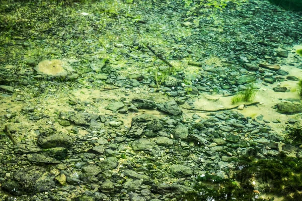 Ochiul Beiului Smaragd Meer Water Achtergrond Met Algen Vissen Stenen — Stockfoto