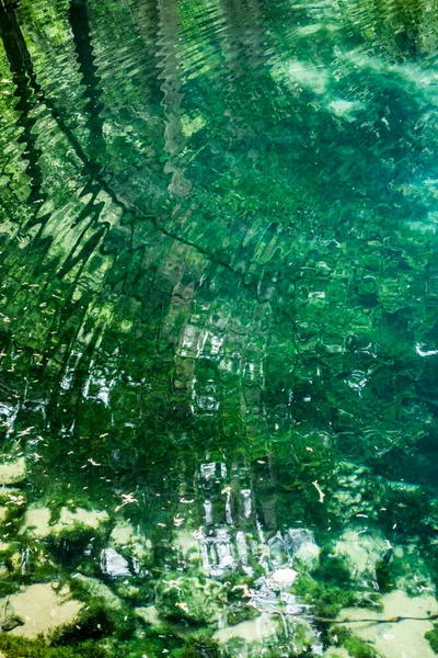 Очиул Beiului Изумрудное Озеро Водный Фон Водорослями Рыбами Камнями Национальный — стоковое фото