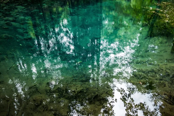Ochiul Beiului Zümrüt Gölü Altyapısı Algler Balıklar Taşlar Şili Nerei — Stok fotoğraf