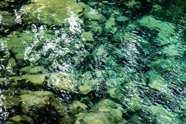 落葉Beiuluiエメラルド湖 魚や石と水の背景 チリネレイ ブスニタ国立公園 バナト ルーマニア — ストック写真