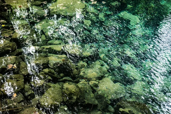 落葉Beiuluiエメラルド湖 魚や石と水の背景 チリネレイ ブスニタ国立公園 バナト ルーマニア — ストック写真