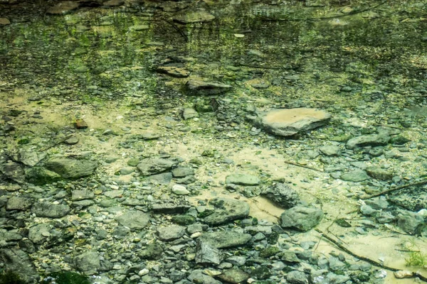 Ochiul Beiului Smaragd Meer Water Achtergrond Met Algen Vissen Stenen — Stockfoto