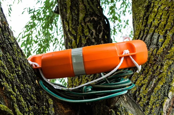 Orangefarbener Rettungsring Baum Rettungsring — Stockfoto