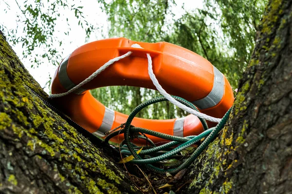 Orange lifeline ring in a tree. Lifebuoy Ring.