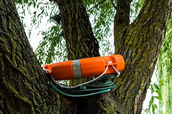 Orange lifeline ring in a tree. Lifebuoy Ring.
