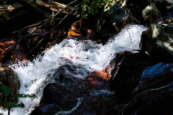 バリコログ川だ ルーマニア アルバ郡アリエセニ地区のバリコログ滝への道 — ストック写真