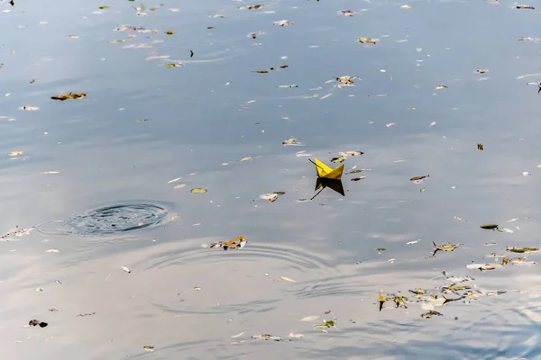 Paper Yellow Boat Floating Water — Stock Photo, Image