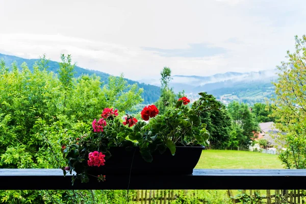 Jardiniere Květinami Muškátu Balkóně Panoramatickým Výhledem Gura Humorului Pozadí Suceava — Stock fotografie