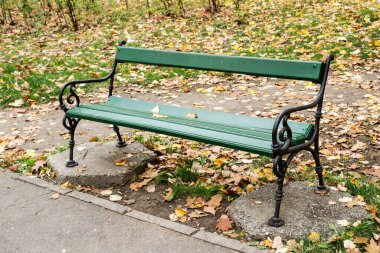 Sonbahar mevsimi, bankın etrafı yapraklarla çevrili..