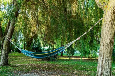 Etrafı ağaçlarla çevrili bir bahçede hamak..