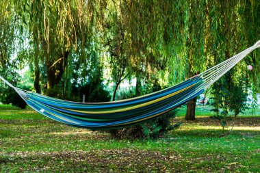 Etrafı ağaçlarla çevrili bir bahçede hamak..