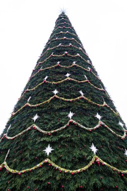 Bükreş 'teki Noel pazarından güzel süslenmiş ağaç.