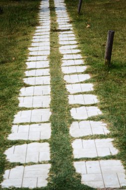 Taşların arasında büyüyen çimenli taş patika..