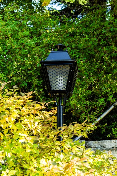 Street Lamp Leaves Bush — Stock Photo, Image