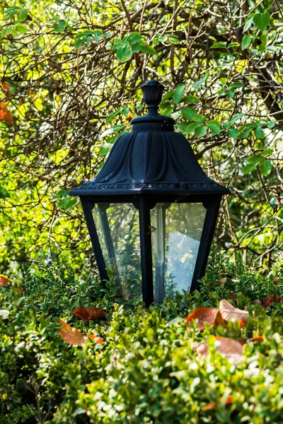 Pouliční Lampa Mezi Listí Keře — Stock fotografie