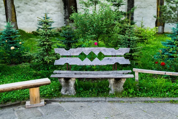 背景に植生がたくさんある美しい庭の素朴な空の木製のベンチ — ストック写真