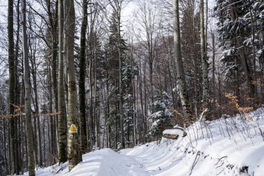 Azuga ve Grecului Vadisi arasındaki kış manzarası. Yol sarı üçgenle işaretlenmiş. Romanya.