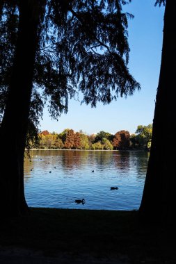 Alexandru Ioan Cuza Parkı, Titan Parkı ya da IOR Parkı olarak da bilinir. Bükreş, Romanya.