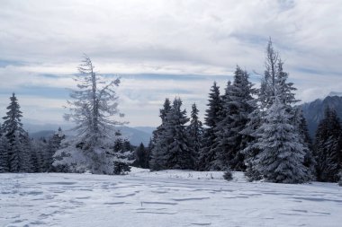 Grecul tepesinden manzara görünüyor. Azuga kasabası ile Grecul tepesi arasında Gura Diham dağ evine doğru bir yürüyüş. Yol sarı üçgenle işaretlenmiş. Romanya.