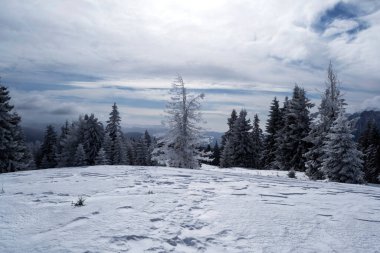 Grecul tepesinden manzara görünüyor. Azuga kasabası ile Grecul tepesi arasında Gura Diham dağ evine doğru bir yürüyüş. Yol sarı üçgenle işaretlenmiş. Romanya.