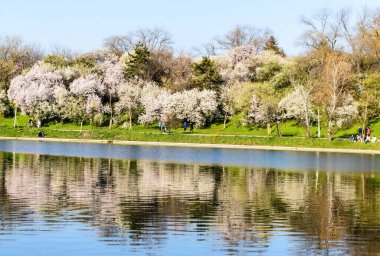 BUCHAREST, ROMANIA - 10 Nisan 2021 Tineretului Parkı, bahar.