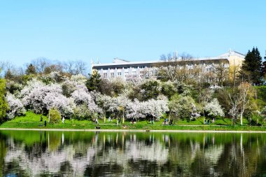 BUCHAREST, ROMANIA - 10 Nisan 2021 Tineretului Parkı, bahar.
